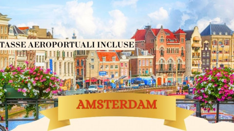 2025 amsterdam immacolata 5 12 IN6