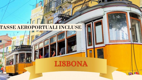 2025 lisbona immacolata 5 12 IN6