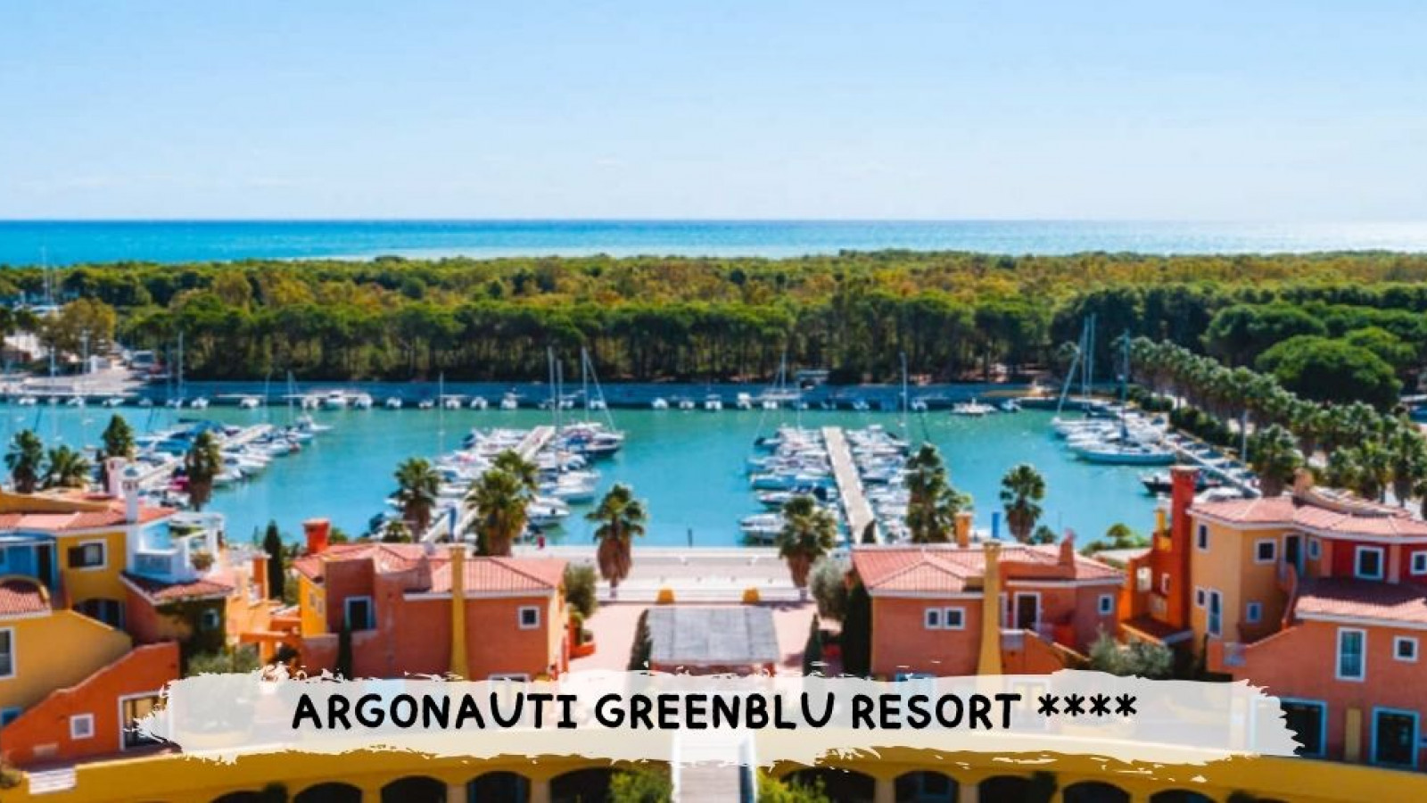 2026 basilicata argonauti IN6