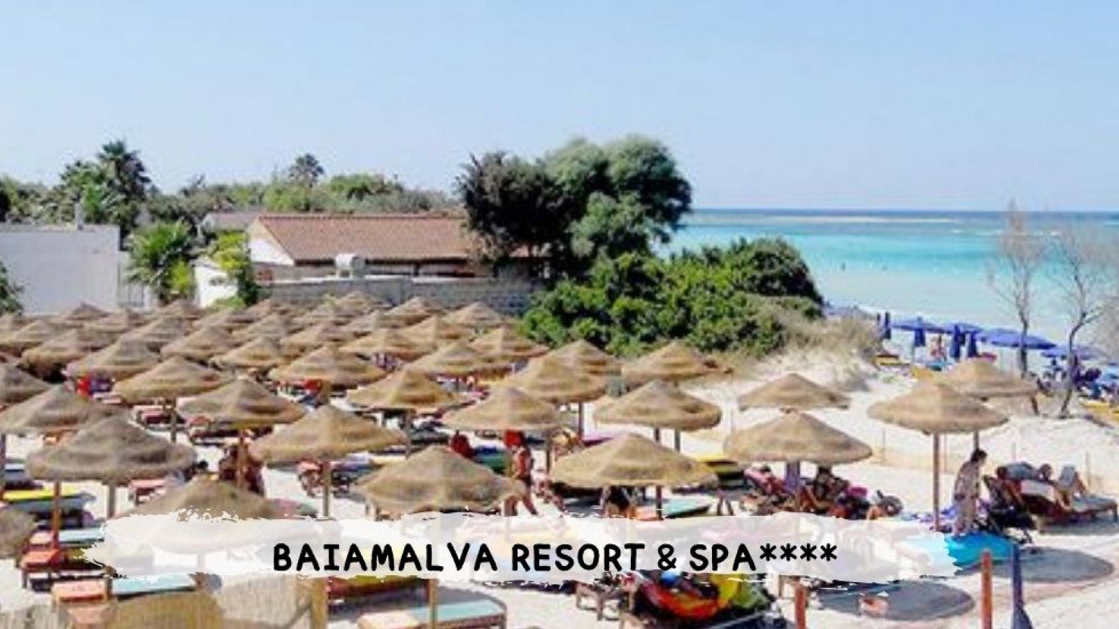 2026 puglia baiamalva IN6