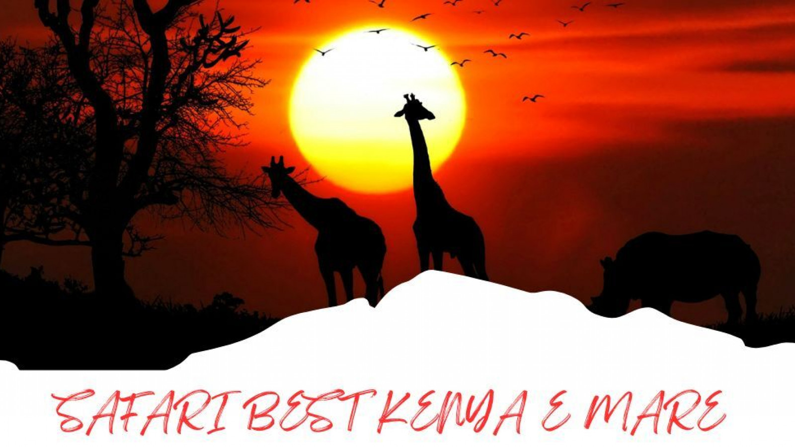 2025 africa best kenia e mare 25 IN6
