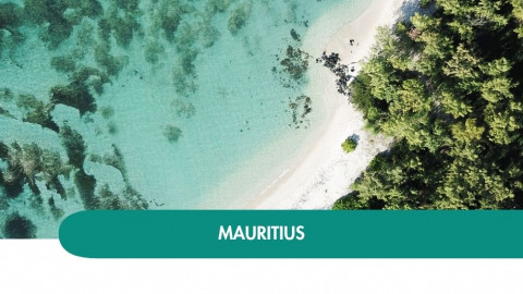 2026 mauritius capodanno T 29 12 IN6
