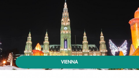 2026 capodanno a vienna K IN6