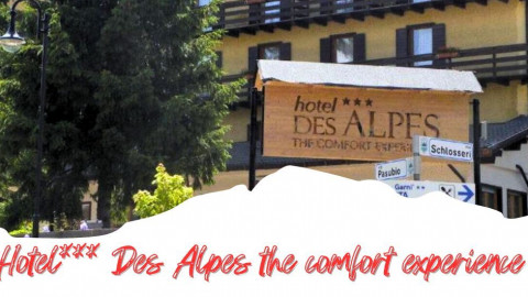 2025 trentino estate des alpes IN6