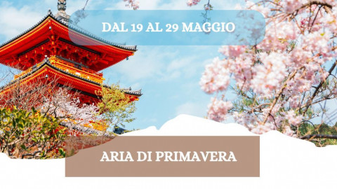 2026 W giappone aria di primavera 19 05 26 IN6