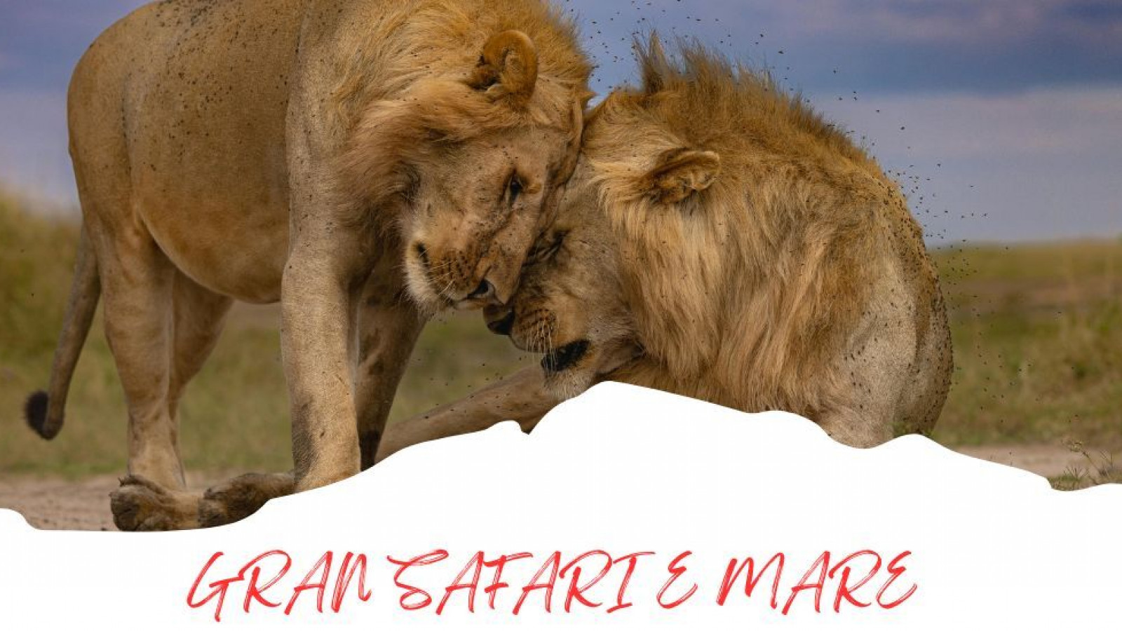 2025 africa gran safari e mare 25 IN6