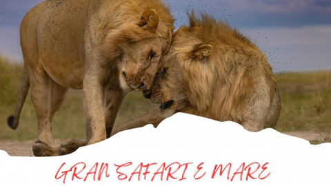 2025 africa gran safari e mare 25 IN6