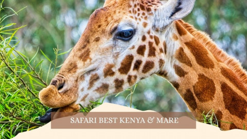 2025 africa best kenia e mare gennaio marzo 26 IN6