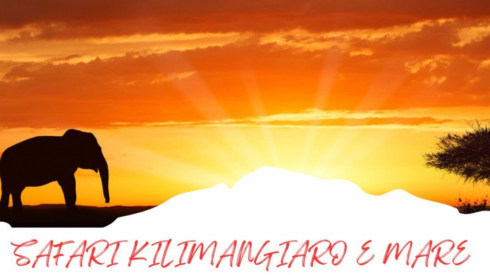 2025 africa kilimangiaro e mare 2025 IN6