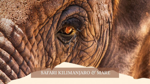 2025 africa kilimangiaro e mare gennaio marzo 2025 IN6