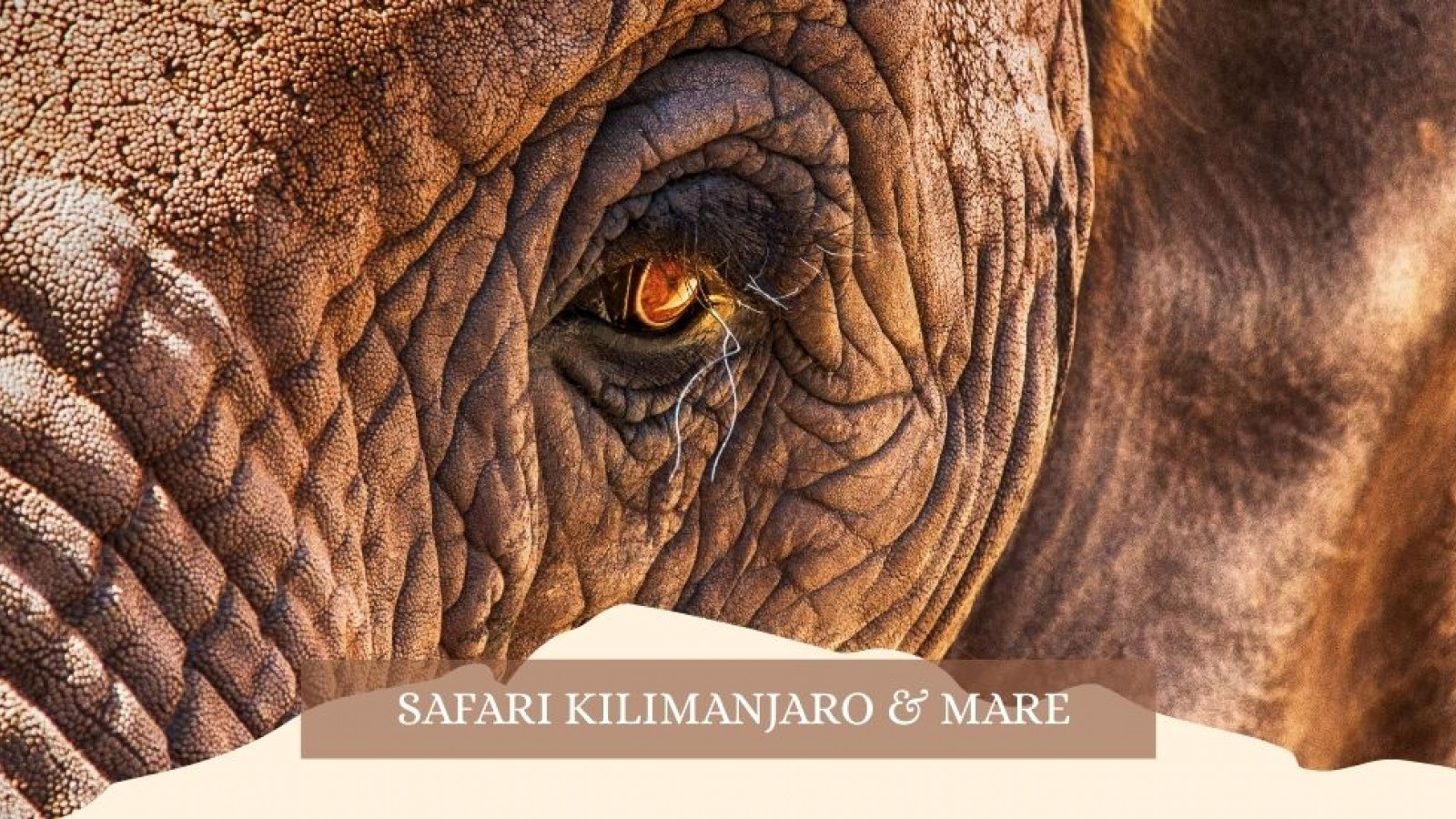 2025 africa kilimangiaro e mare gennaio marzo 2025 IN6