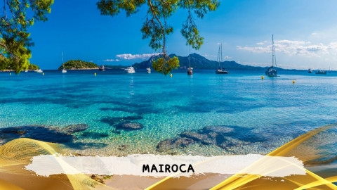 2026 maiorca 11 agosto napoli T IN6