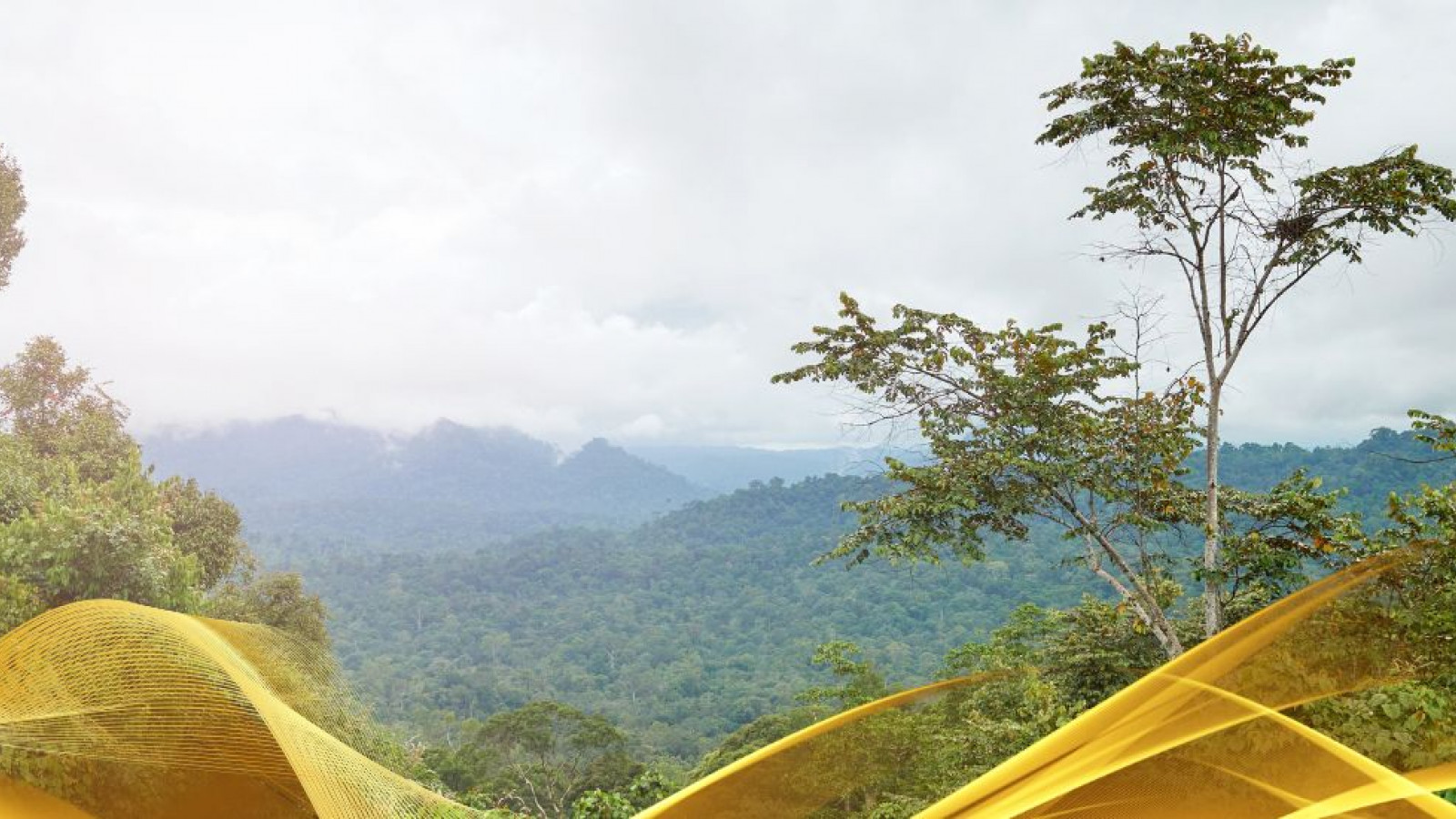 2026 malesia tour mare e altopiani 9 08 O IN6