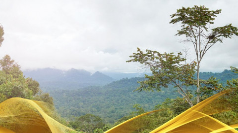 2026 malesia tour mare e altopiani 9 08 O IN6