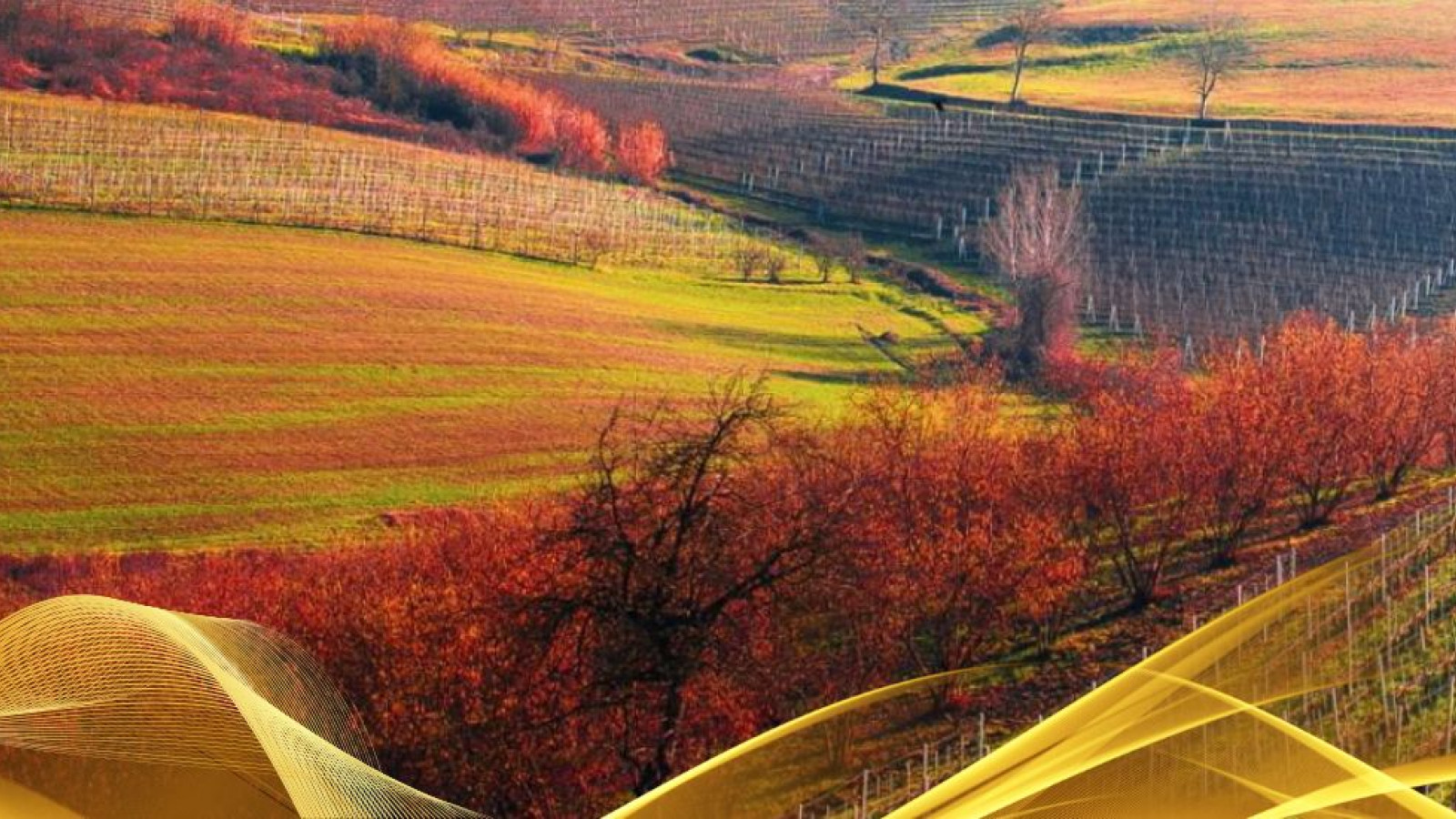 2026 W torino e le langhe 30 05 IN6