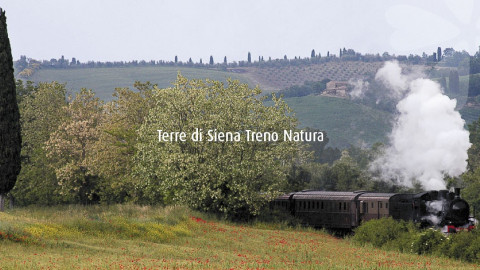 2024 W treno natura siena montepulciano 1/06 IN6