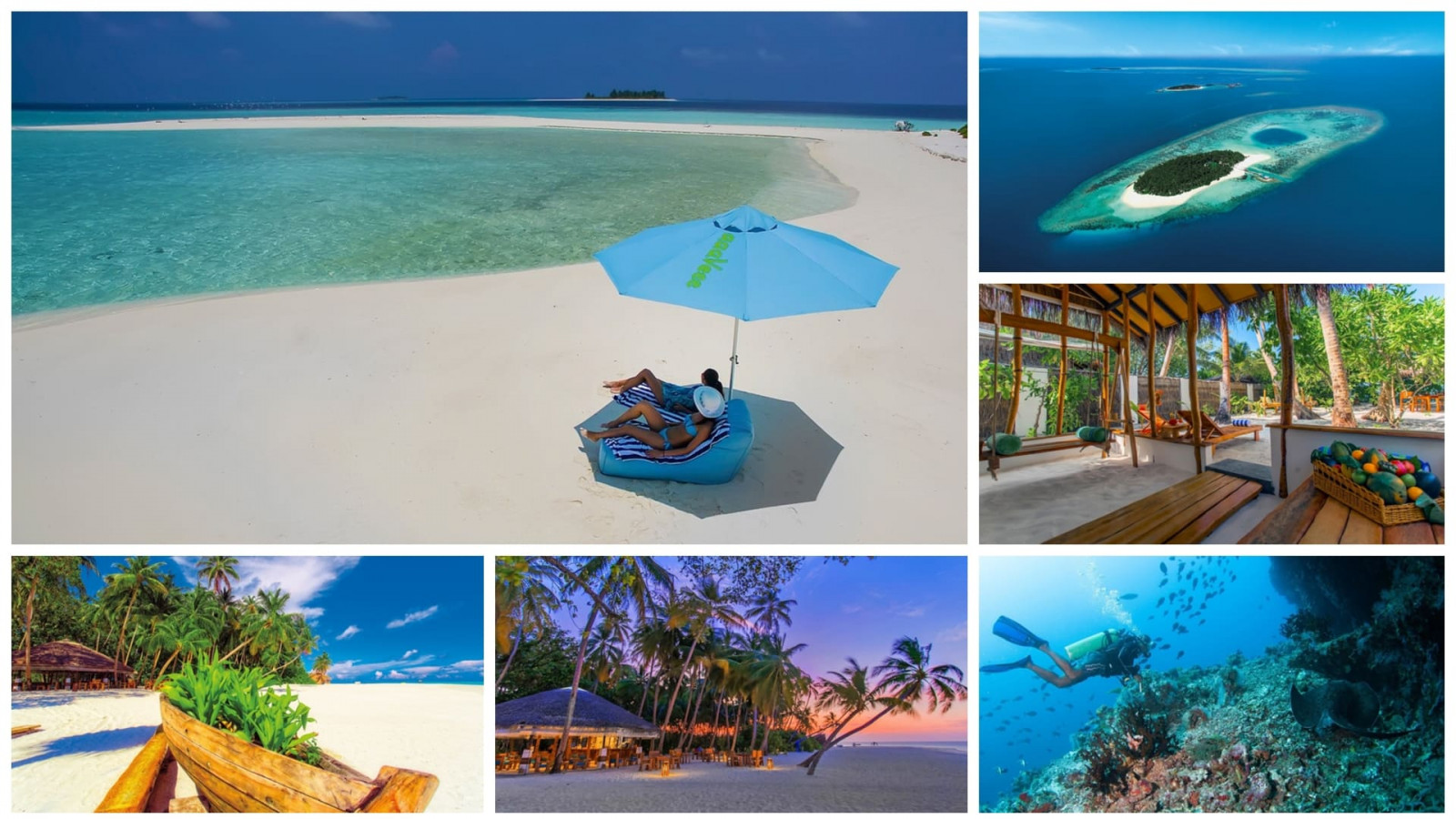 2022 veratour maldive aaaveee nature's IN6