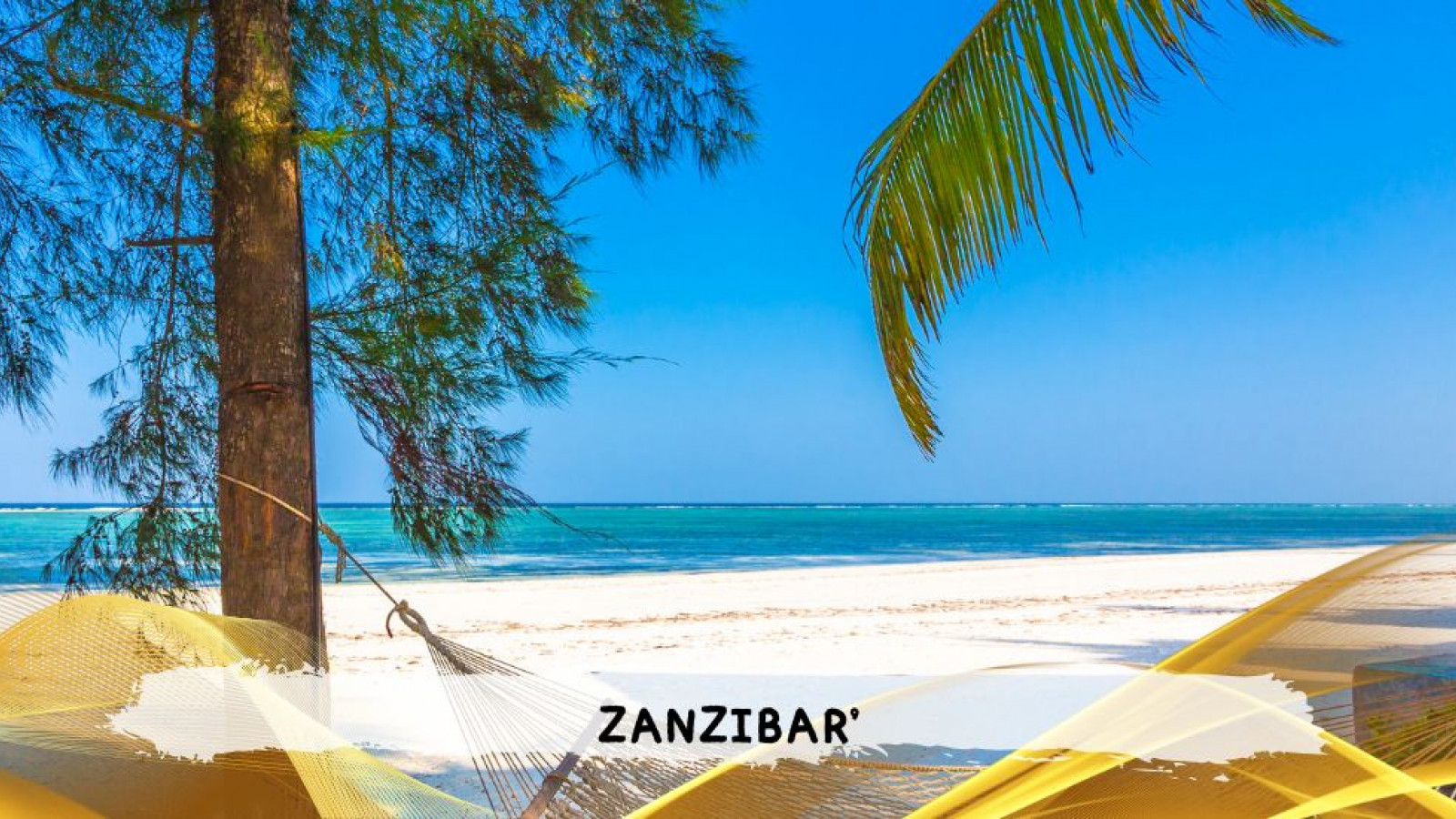 2026 zanzibar 11 08 T IN6