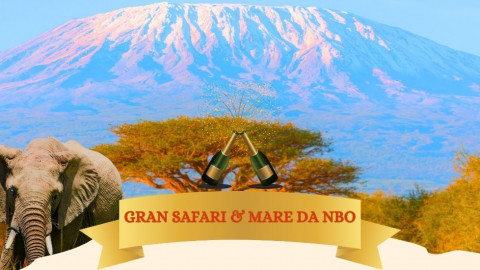 2025 africa gran safari e mare natale e capodanno IN6