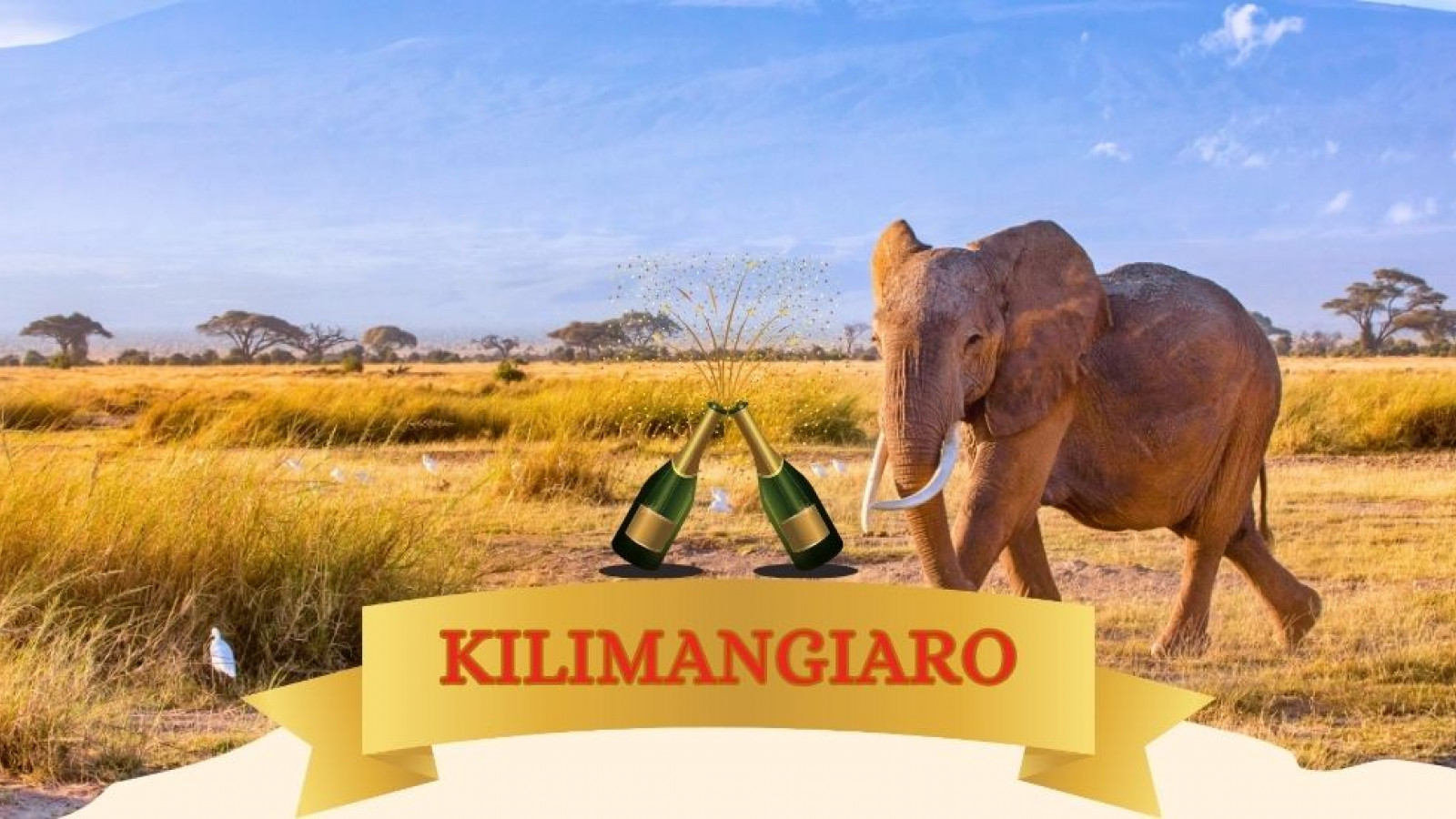 2025 africa kilimangiaro e mare natale e capodanno IN6