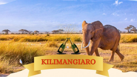 2025 africa kilimangiaro e mare natale e capodanno IN6