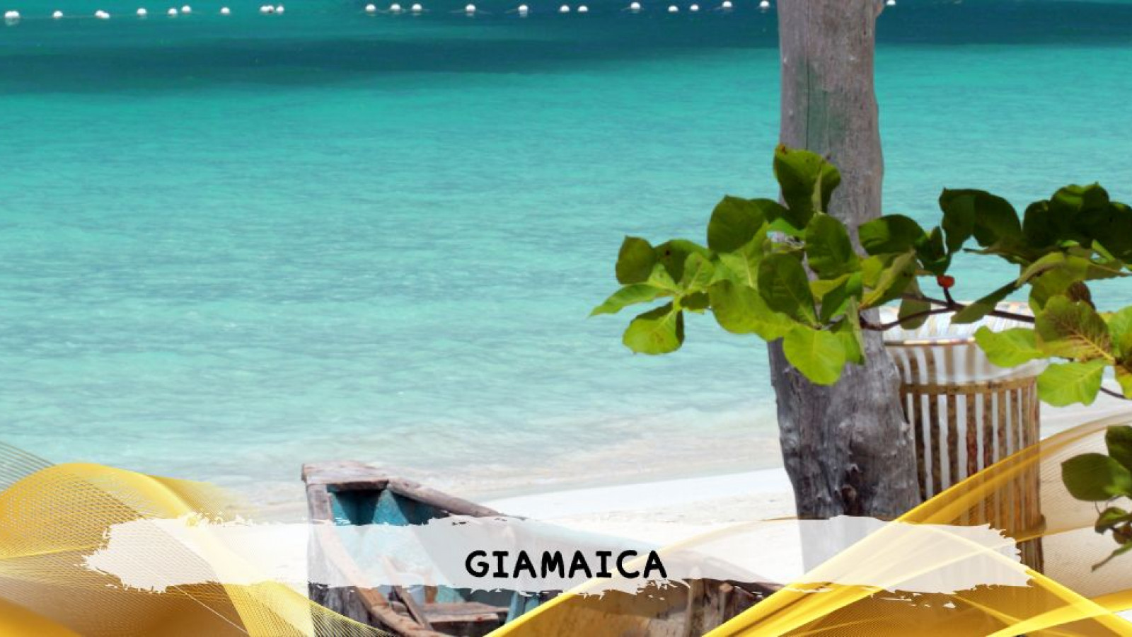 2026 giamaica 14 agosto T IN6