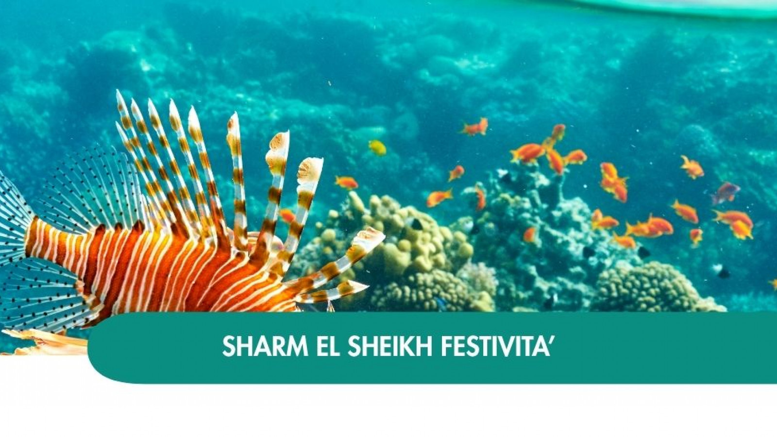 2026 sharm el sheikh queen festivita T IN6