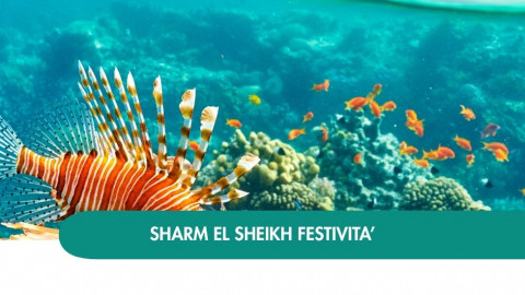 2026 sharm el sheikh queen festivita T IN6