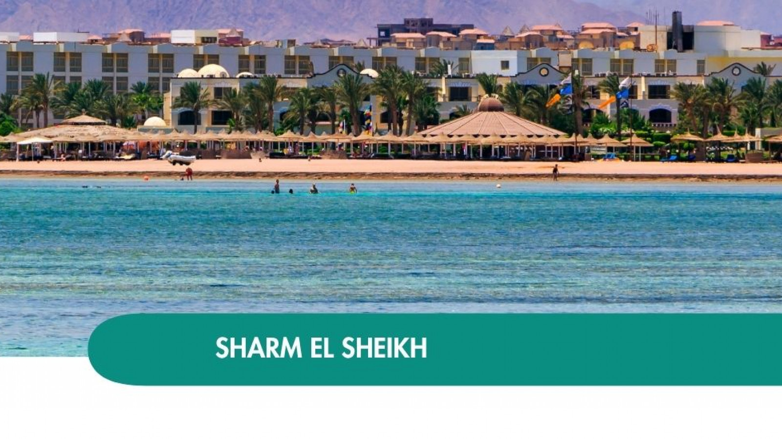 2026 sharm el sheikh queen immacolata T IN6