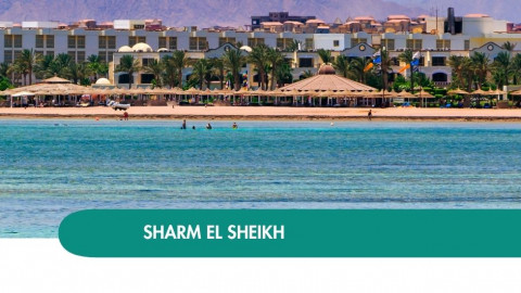 2026 sharm el sheikh queen immacolata T IN6